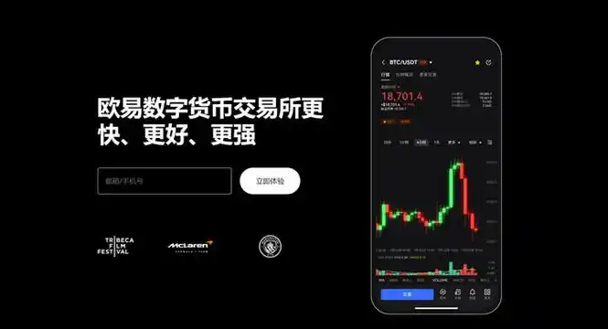 欧义下载平台展示图